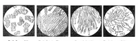 An illustration from Scientific American, Vol. 47, No. 16 (1882) (1882)