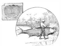 Picture 9 of 15 from Scientific American, Vol. 47, No. 19 (1882) (1882), leaf 8