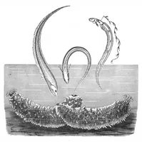 Picture 11 of 15 from Scientific American, Vol. 47, No. 22 (1882) (1882), leaf 9