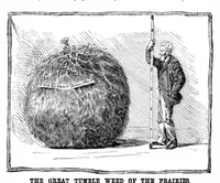 Picture 6 of 10 from Scientific American, Vol. 47, No. 23 (1882) (1882), leaf 8