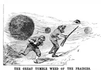 Picture 7 of 10 from Scientific American, Vol. 47, No. 23 (1882) (1882), leaf 8