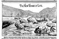 Picture 10 of 12 from Scientific American, Vol. 47, No. 27 (1882) (1882), leaf 14