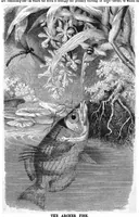 An illustration from Scientific American, Vol. 48, No. 13 (1883) (1883)