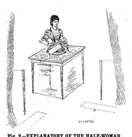 An illustration from Scientific American, Vol. 48, No. 14 (1883) (1883)
