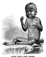 Picture 11 of 17 from Scientific American, Vol. 48, No. 16 (1883) (1883), leaf 8