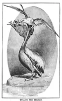 Picture 7 of 11 from Scientific American, Vol. 48, No. 22 (1883) (1883), leaf 8