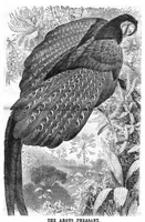 Picture 7 of 12 from Scientific American, Vol. 49, No. 4 (1883) (1883), leaf 8