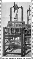 An illustration from Scientific American, Vol. 49, No. 5 (1883) (1883)