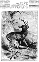 An illustration from Scientific American, Vol. 49, No. 12 (1883) (1883)