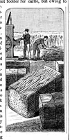 Picture 11 of 12 from Scientific American, Vol. 49, No. 13 (1883) (1883), leaf 10