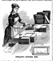 Picture 2 of 16 from Scientific American, Vol. 49, No. 19 (1883) (1883), leaf 3