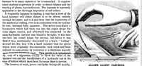 Picture 10 of 14 from Scientific American, Vol. 49, No. 22 (1883) (1883), leaf 9