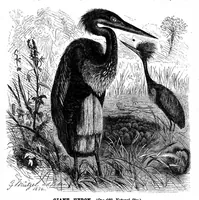 An illustration from Scientific American, Vol. 49, No. 24 (1883) (1883)