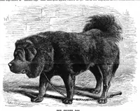 Picture 8 of 14 from Scientific American, Vol. 50, No. 2 (1884) (1884), leaf 8