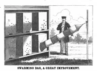 Picture 9 of 16 from Scientific American, Vol. 50, No. 5 (1884) (1884), leaf 7