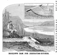Picture 1 of 16 from Scientific American, Vol. 50, No. 6 (1884) (1884), leaf 3