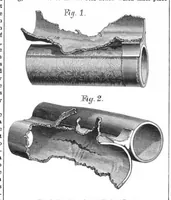 An illustration from Scientific American, Vol. 50, No. 19 (1884) (1884)