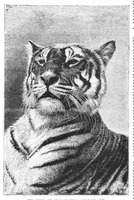Picture 10 of 17 from Scientific American, Vol. 50, No. 24 (1884) (1884), leaf 8