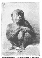 Picture 12 of 15 from Scientific American, Vol. 50, No. 26 (1884) (1884), leaf 8