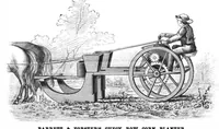 Picture 1 of 10 from Scientific American, Vol. 51, No. 6 (1884) (1884), leaf 3