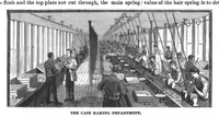 Picture 12 of 21 from Scientific American, Vol. 51, No. 7 (1884) (1884), leaf 7