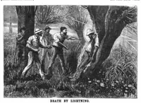 Picture 11 of 17 from Scientific American, Vol. 51, No. 8 (1884) (1884), leaf 9