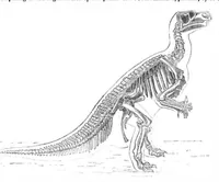 An illustration from Scientific American, Vol. 51, No. 22 (1884) (1884)