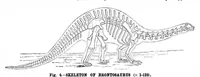 An illustration from Scientific American, Vol. 51, No. 22 (1884) (1884)