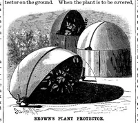 Picture 7 of 13 from Scientific American, Vol. 52, No. 8 (1885) (1885), leaf 5