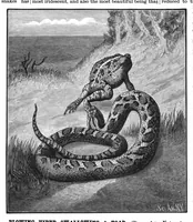 Picture 11 of 17 from Scientific American, Vol. 52, No. 13 (1885) (1885), leaf 8