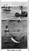 Picture 12 of 17 from Scientific American, Vol. 52, No. 13 (1885) (1885), leaf 8