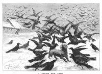 Picture 11 of 14 from Scientific American, Vol. 52, No. 15 (1885) (1885), leaf 8