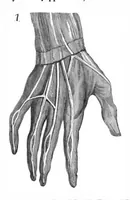 An illustration from Scientific American, Vol. 53, No. 6 (1885) (1885)