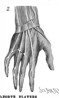 Picture 9 of 16 from Scientific American, Vol. 53, No. 6 (1885) (1885), leaf 7