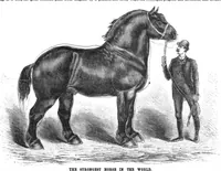 Picture 12 of 14 from Scientific American, Vol. 53, No. 8 (1885) (1885), leaf 10