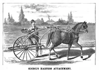 An illustration from Scientific American, Vol. 53, No. 8 (1885) (1885)