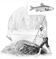 Picture 10 of 15 from Scientific American, Vol. 53, No. 14 (1885) (1885), leaf 8