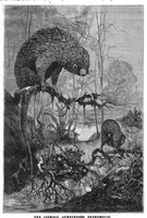 Picture 13 of 15 from Scientific American, Vol. 53, No. 20 (1885) (1885), leaf 10