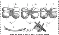 Picture 12 of 15 from Scientific American, Vol. 53, No. 20 (1885) (1885), leaf 9