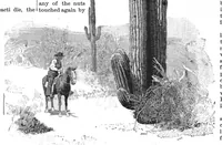 Picture 13 of 16 from Scientific American, Vol. 53, No. 24 (1885) (1885), leaf 8