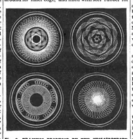 Picture 9 of 15 from Scientific American, Vol. 53, No. 25 (1885) (1885), leaf 7