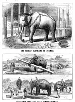 Picture 11 of 13 from Scientific American, Vol. 54, No. 3 (1886) (1886), leaf 10