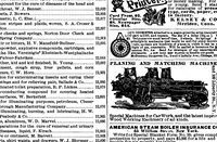 Picture 12 of 13 from Scientific American, Vol. 54, No. 3 (1886) (1886), leaf 13