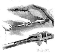 Picture 4 of 18 from Scientific American, Vol. 54, No. 10 (1886) (1886), leaf 3