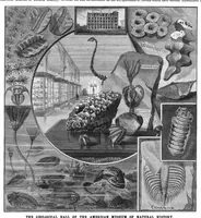An illustration from Scientific American, Vol. 54, No. 16 (1886) (1886)