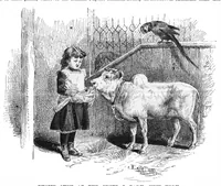 Picture 10 of 12 from Scientific American, Vol. 54, No. 16 (1886) (1886), leaf 10