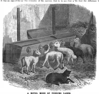Picture 13 of 17 from Scientific American, Vol. 54, No. 18 (1886) (1886), leaf 10