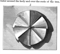 Picture 6 of 17 from Scientific American, Vol. 55, No. 2 (1886) (1886), leaf 4
