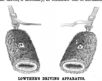 Picture 13 of 15 from Scientific American, Vol. 55, No. 5 (1886) (1886), leaf 10