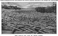 Picture 8 of 22 from Scientific American, Vol. 55, No. 7 (1886) (1886), leaf 6